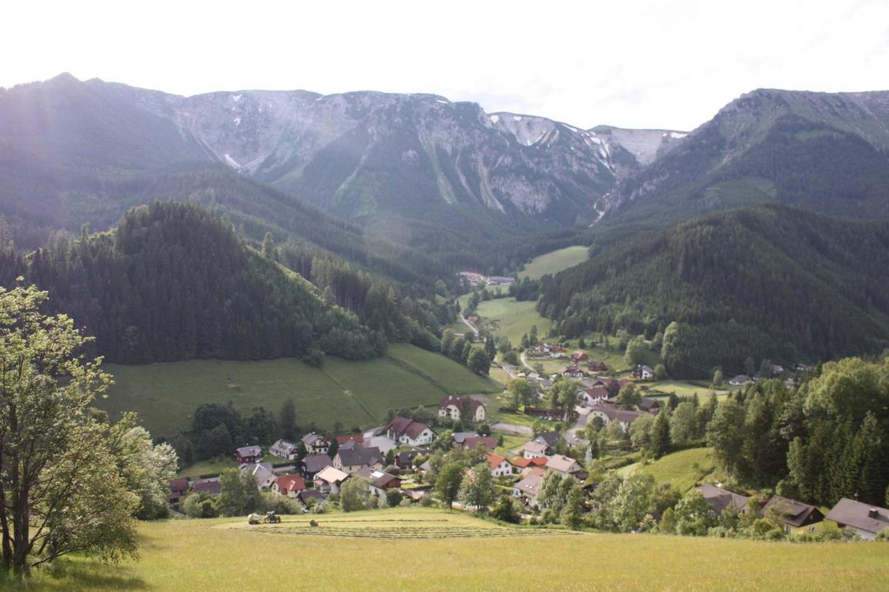 Altenbergerhof Neuberg an der Muerz Экстерьер фото
